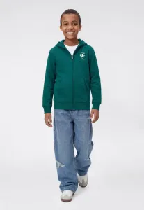 Толстовка с капюшоном и графическим принтом на молнии. Champion, Petrol