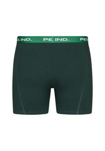 Трусы 2 PACK Petrol Industries, зеленый