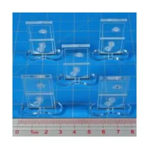 Дверные маркеры торгового центра, Zombicide Gaming Accessories (Litko Aerosystems)