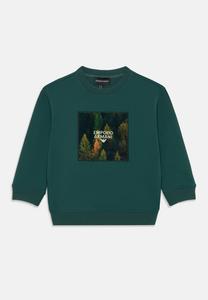 Толстовка Emporio Armani Sweatshirt, Green