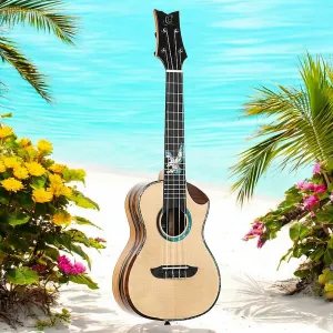 Приватная комната Ortega, элитная серия, акустико-электрическая укулеле с сумкой