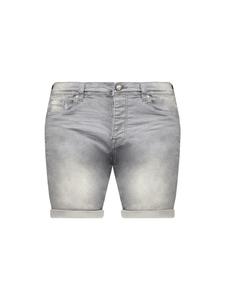 Deeluxe Шорты 'Arvin' Regular в светло-сером цвете