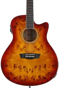 Акустическая гитара Washburn Deep Forest Burl ACE - Янтарный градиент