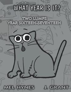 What Year Is It?: Two Lumps, Year 16-17 (Independently published)