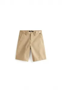 Оригинальные свободные шорты Vans, Light Brown