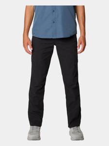 MOUNTAIN HARDWEAR Мужские походные брюки Hardwear AP