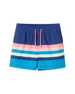 Шорты для плавания Andy & Evan, синий