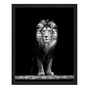 Картина Any Image Beautiful Lion, 42x52x2,6 см