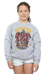 Толстовка Гриффиндора Искателя Harry Potter, серый