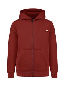 Толстовка с капюшоном на молнии Smilodox, коричневый