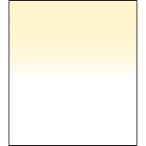 Фильтр LEE Filters 150 x 170mm Hard-Edge Graduated Straw 1 SW150STR1GH