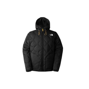 THE NORTH FACE Мужской пуховик, цвет Black