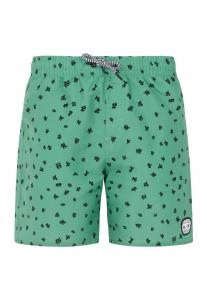 Пляжные шорты Protest, зеленый