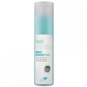Шампунь Feel Nature Mint 250 мл Hair Haus
