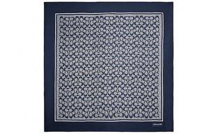 Женский шелковый шарф COACH, Navy