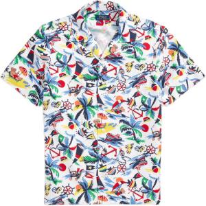 Polo Ralph Lauren Мужская рубашка Multicolor