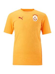 Джерси PUMA Galatasaray Istanbul, Saffron
