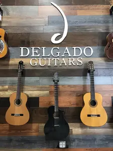 Breedlove Rainforest S Concert Papillon CE