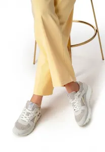 Тренеры Floris Van Bommel, Taupe