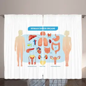 Штора ABAKUHAUS Анатомия в деревенском стиле, схема внутренних органов человека, универсальная, для гостиной, с петлями и крючками, 280 x 225 см, нежно-голубой с бежевым Abakuhaus
