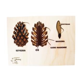 Строение сосновой шишки, деревянный пазл, как выглядит сосновая шишка Inna marka