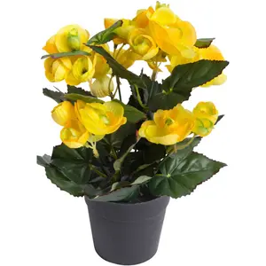 Искусственный цветок Botanic-Haus «Кустовая бегония 7 стеблей», желтый