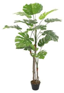 Декоративное растение Mobili Rebecca Monstera RE7045, 50x155x50 см, зеленый