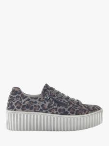 Dolly Suede Chunky Leopard Print шнурованные кроссовки Gabor, Grey
