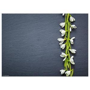 Подставка для столовых приборов snowdrop ii (набор из 12 шт.) Tischsetmacher, мультколор