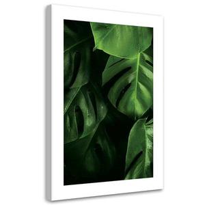 Картина арт-принт KUNSTLOFT Monstera Leaves with Dew 1, зеленый