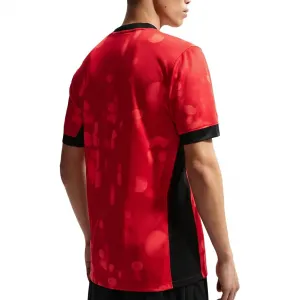 Футболка Dri Fit для мужчин Nike, sports красный/светло-красный/черный