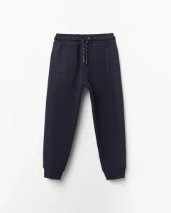 Брюки из ткани осман Sfera, темно-синий