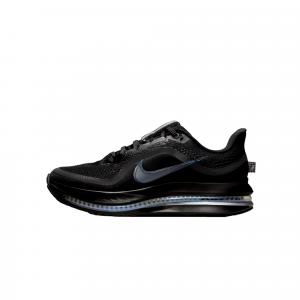 Женские кроссовки Nike Pegasus Premium Black/Black - Metallic Silver HQ2593-004