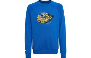 Толстовка GS Adidas Originals, синий