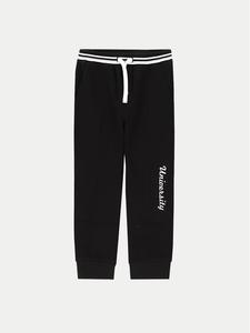 Спортивные брюки regular fit ZC4120201ABK Coccodrillo, черный