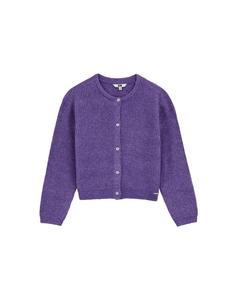 Вязаный кардиган WE Fashion, фиолетовый