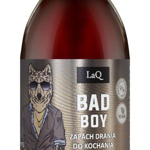 Шампунь для волос мужской, 100 мл Laq Bad boy