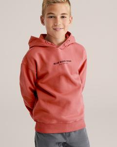 Толстовка WE Fashion, Red