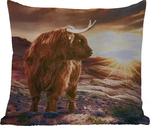 Подушка для улицы - Корова - Шотландский высокогорный скот - Камни - 50 x 50 см - Водонепроницаемая - Подушка для отдыха - Удобная - Подушка с изображением MuchoWow