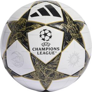 Adidas Performance Мяч 'Champions League', мультиколор