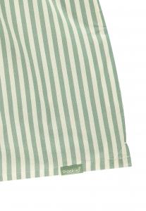 Боксеры STRIPED Pockies, зеленый