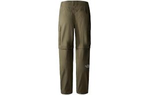 Брюки-карго мужские зеленые The North Face, зеленый