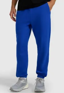 Штаны от спортивного костюма ttrom1272 4F, Niebieski