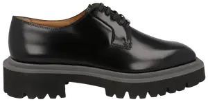 Кожаные туфли Ferragamo Flicker, черный