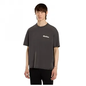 Футболка Dickies Slayden GD, серый