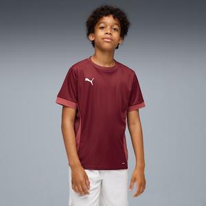 Футболка для больших детей Teamgoal Puma, красный