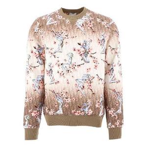 Толстовка x sorayama all over graphic print sweatshirt m brown Dior, коричневый