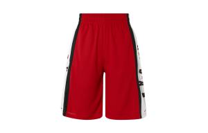 Баскетбольные шорты мужские красные Jordan, красный