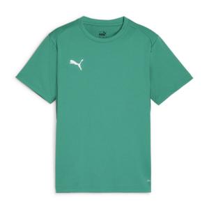 Детская футболка Puma teamGOAL Jersey Jr 658637