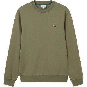 Хлопковый свитшот LACOSTE, хаки